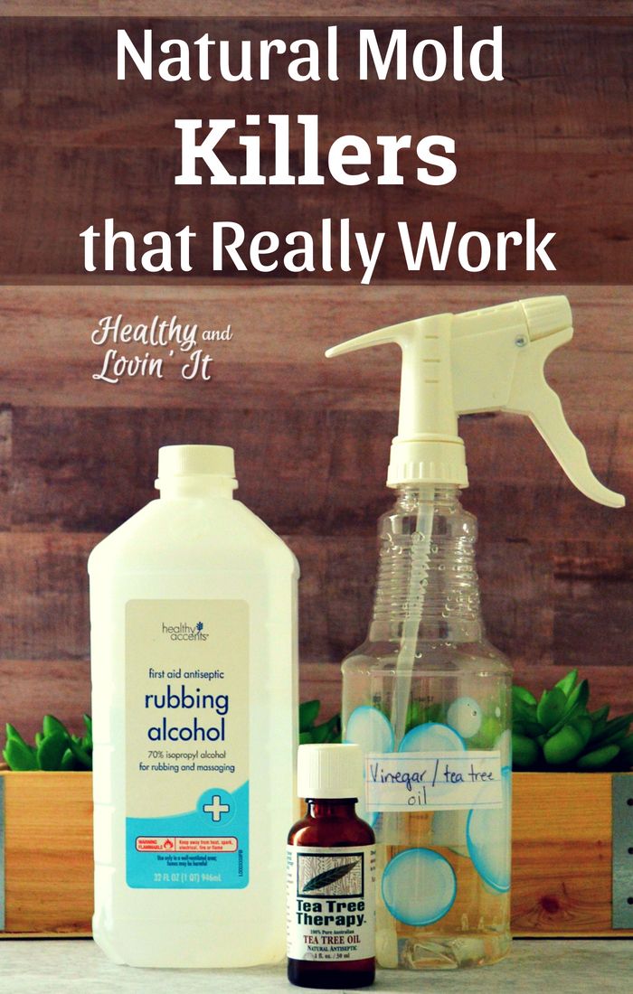 Natural Mold Killer and Mold Cleaner Recipes