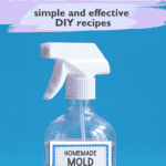 mold cleaner recipes DIY
