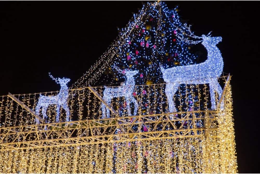 fun Christmas activities